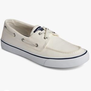 NWT Men’s Sperry Shoes